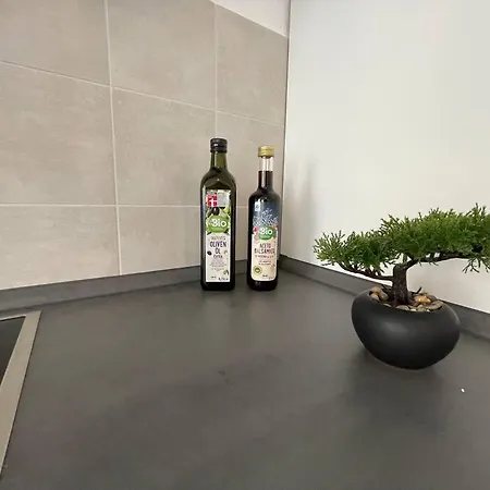 Lucky Ls03 - Vollausstattung - Zentrum - Aufzug - Grosse Kueche - 2 - Smart-tv * Magdebourg